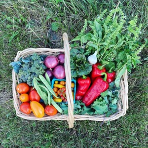 Full Plate Farm Collective