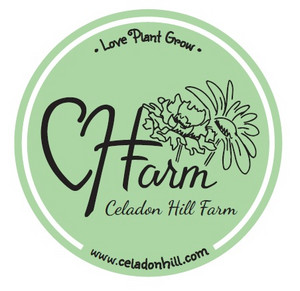 Celadon Hill