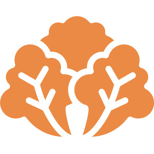Lettuce Networks