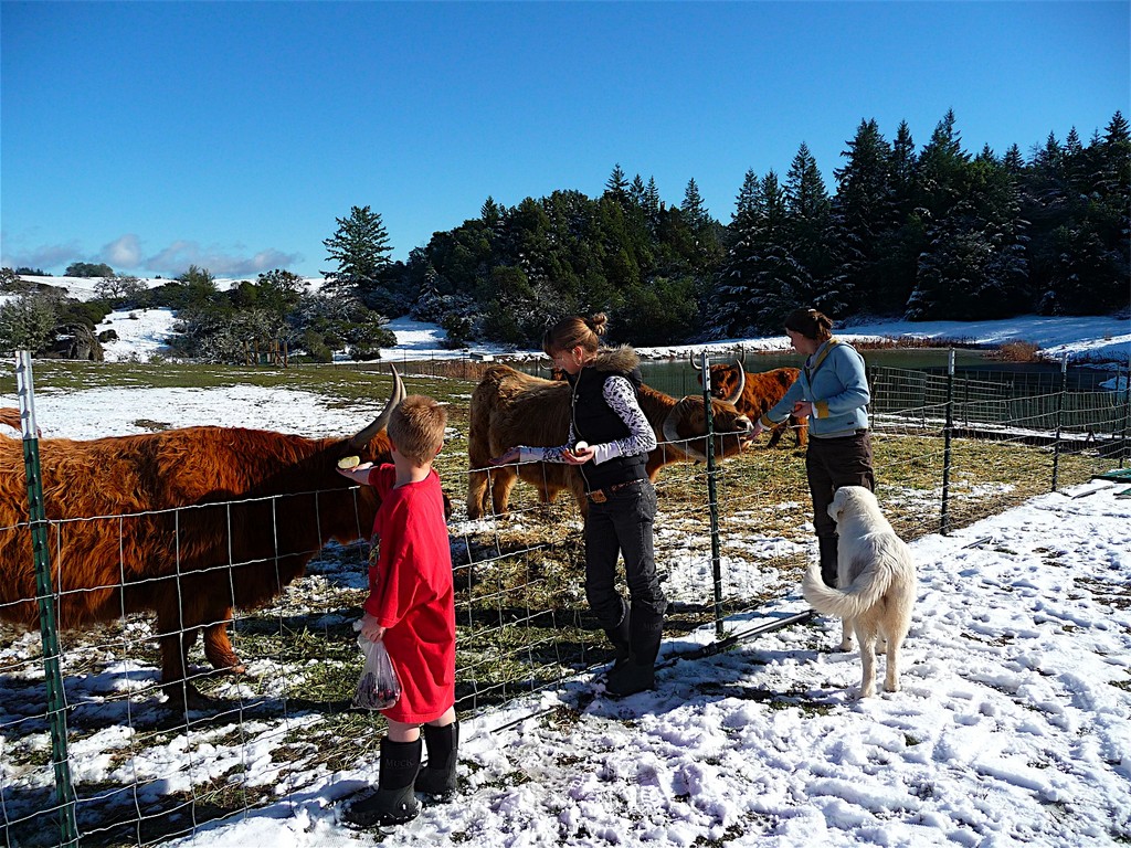 Farm Photos - LocalHarvest