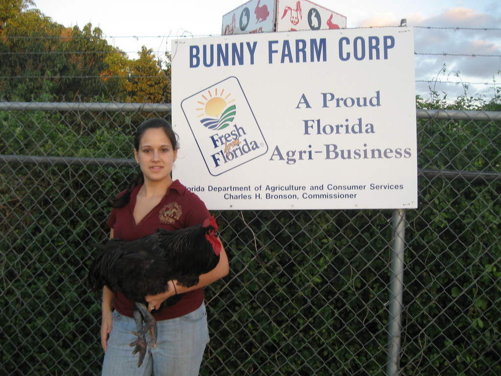 Bunny Farm Corp - LocalHarvest