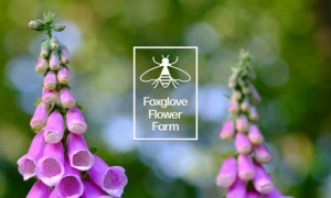 Foxglove Flower Farm
