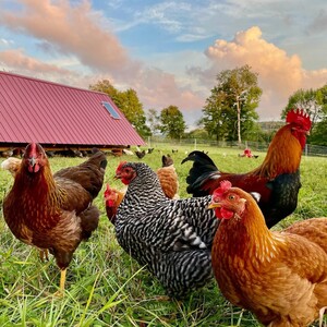 Two Creek Farm
