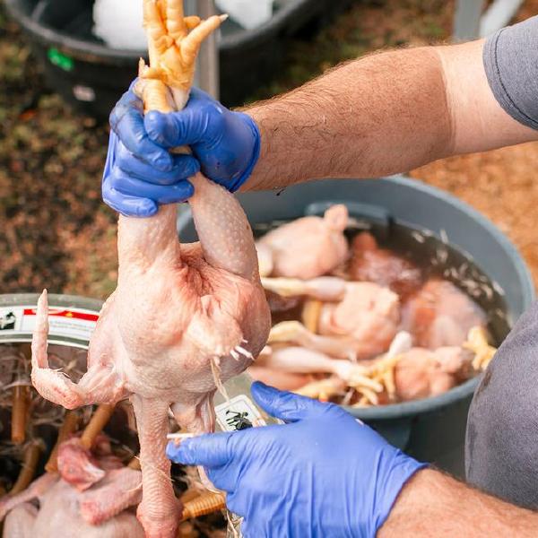 Stubbs Farm Processing