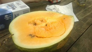 Yellow-Meated Watermelon