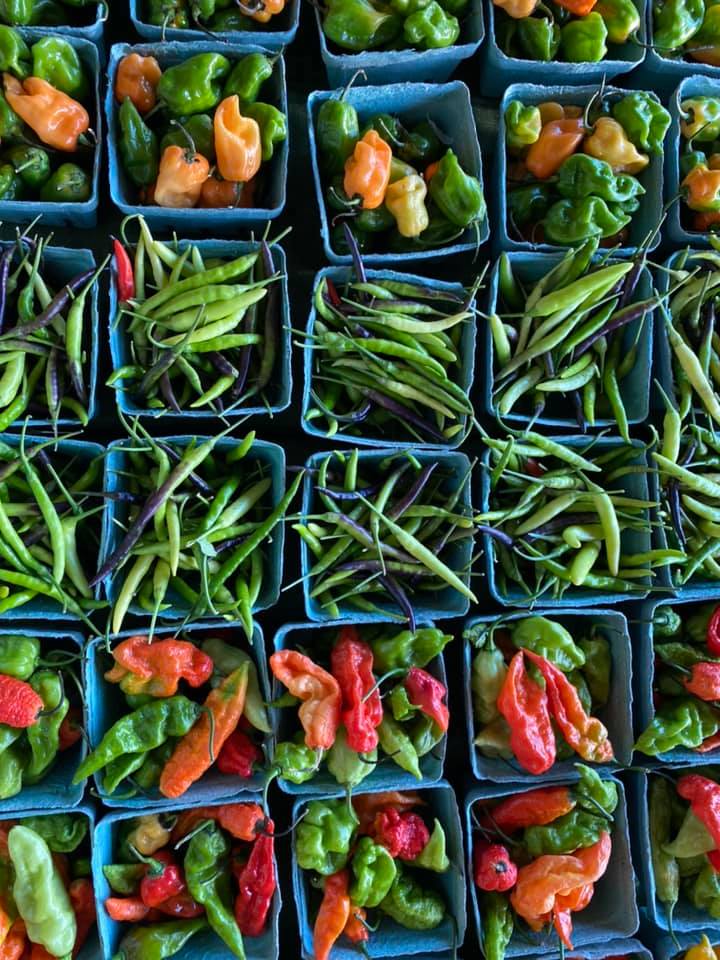 Webb City Farmers' Market - LocalHarvest