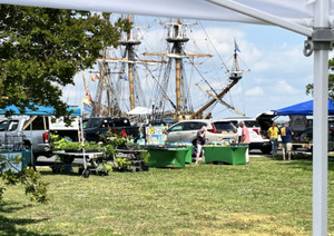 Cambridge Maryland Farmers Market on the Choptank