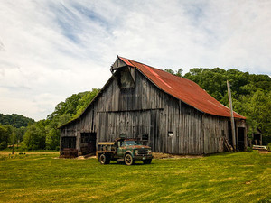 Buffalo Branch Farms