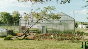 Blandford Nature Center Farm