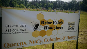 Briar Patch Honeybees