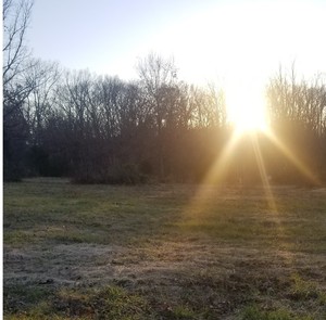 Ridge Road Acres