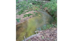 TwinSpringsNC