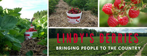 Lindy's Berries, Inc.