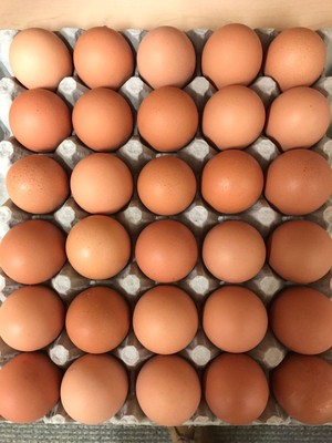 Khan Eggs/Poultry