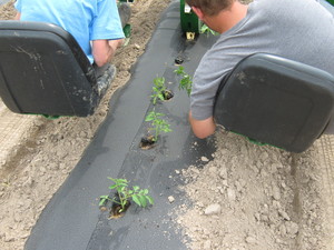 Farmboy Garden LLC