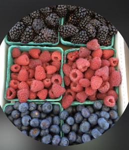 Silver Star Farm Market