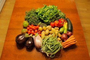 Westfield Area CSA