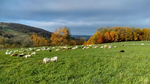 Gibraltar Farm