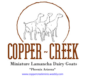 Copper-Creek Minis @ Dawn Star Ranch