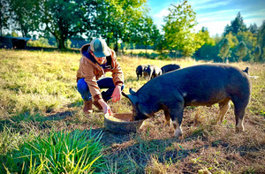 PDX Pork
