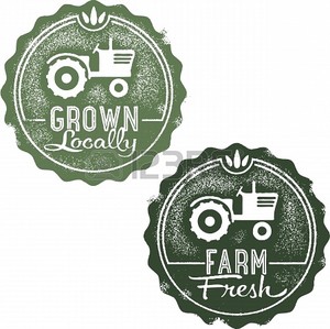 Homestead Farm and Ranch
