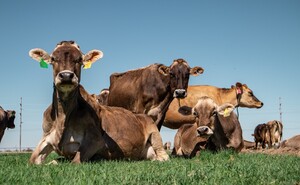 Green Pastures Dairy, LLC, Raw Milk