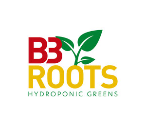 B3 Roots