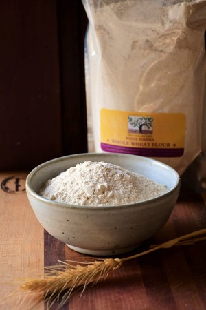 White Sonora Wheat