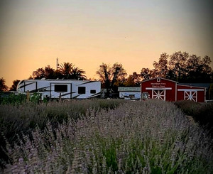 MoonBeam Farm