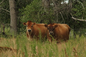 Ebert Farms