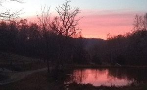 Peaceful Waters Farm