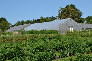 Urth Farms Organic