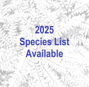 BetterFinds Native Plants