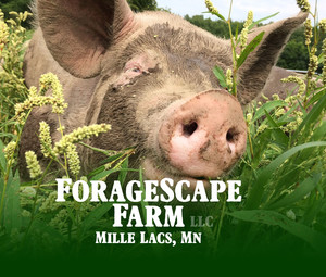 ForageScape Farm, LLC