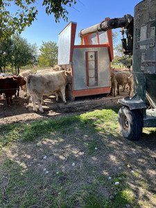 Hasenour's All Natural Pork and Beef