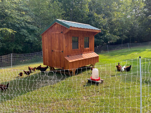 Finn Farms NY