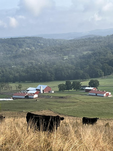 Tubmill Creek Farms