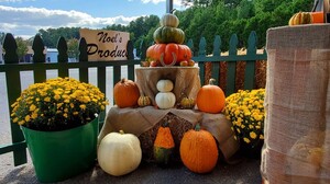Noel's Produce Stand
