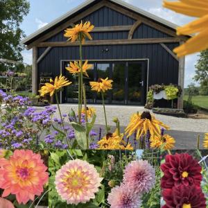 Lebanon Cedar farm Home Of CC's Blooms