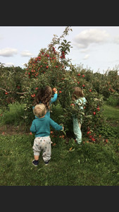 Clearview Orchards
