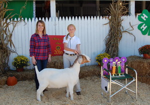 Trossbach Hilltop Farm