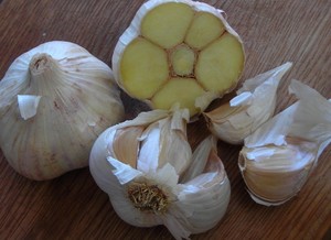 Lorz Italian Garlic