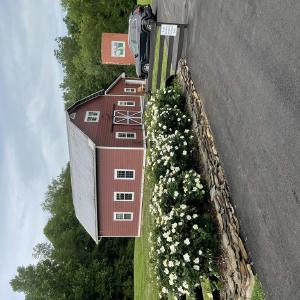 Swan Creek Farm