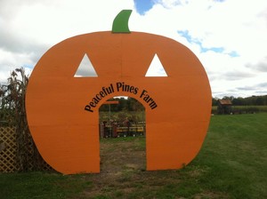 Peaceful Pines Farm