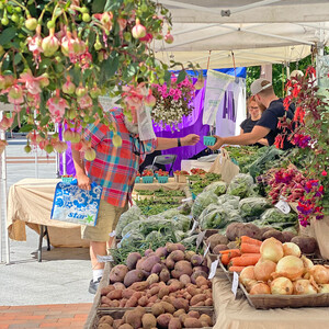Quincy's Kilroy Square Farmers Market