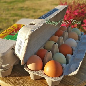 Happy Wife Farm LLC