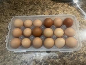Eggs-$6-Straight from Nest