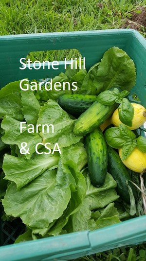 Stone Hill Gardens