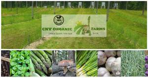 CNY Organic Farms LLC