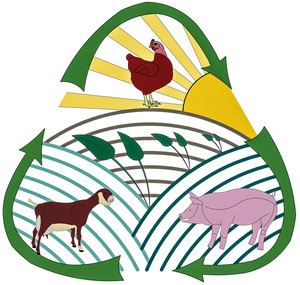 Redemption Hill Farms